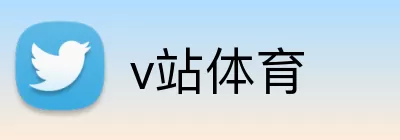 v站体育 Logo